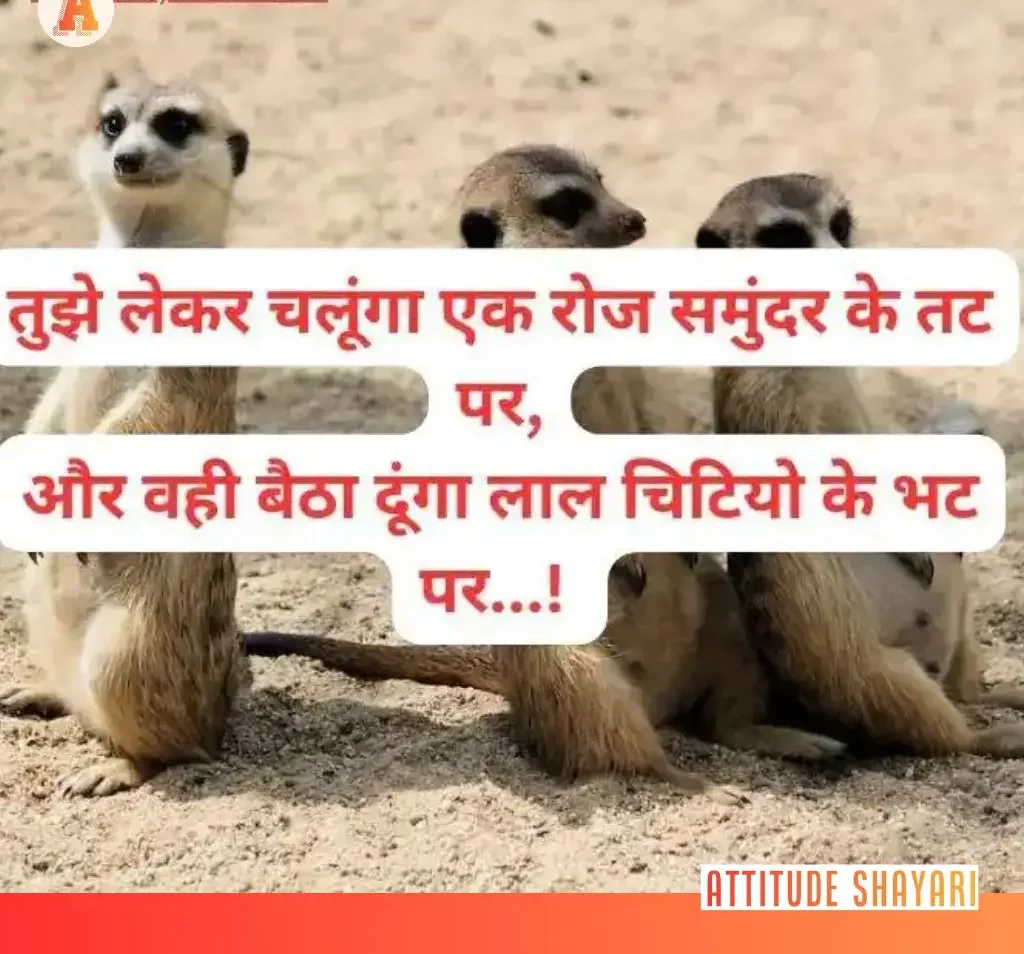 funny shayari text