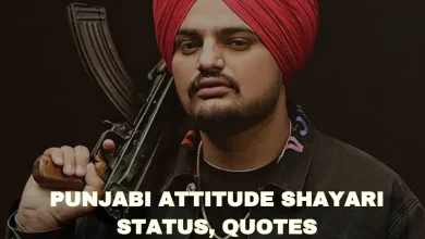 punjabi-attitude-shayari-in-hindi