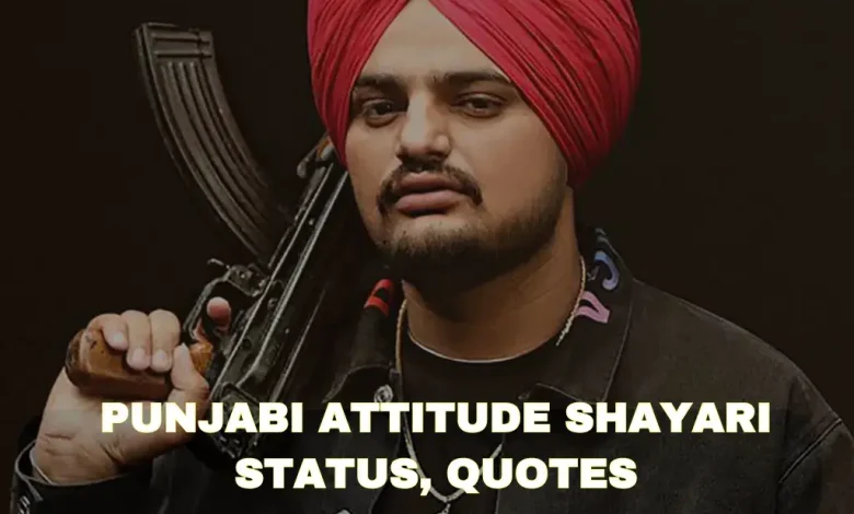 punjabi-attitude-shayari-in-hindi