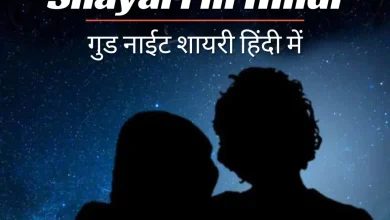 good-night-shayari-in-hindi