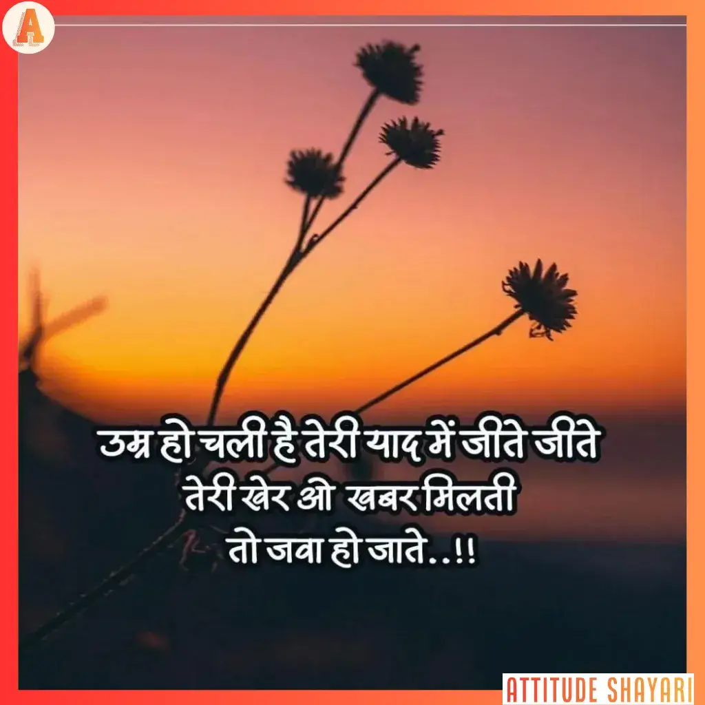 2 line Shayari copy