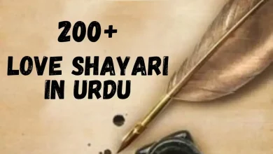 Best Urdu Shayari