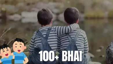 Bhai Shayari in Hindi