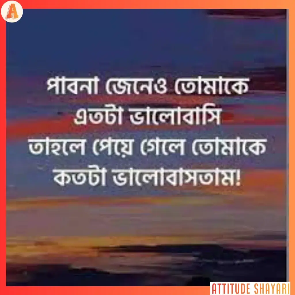 bangla Shayari copy