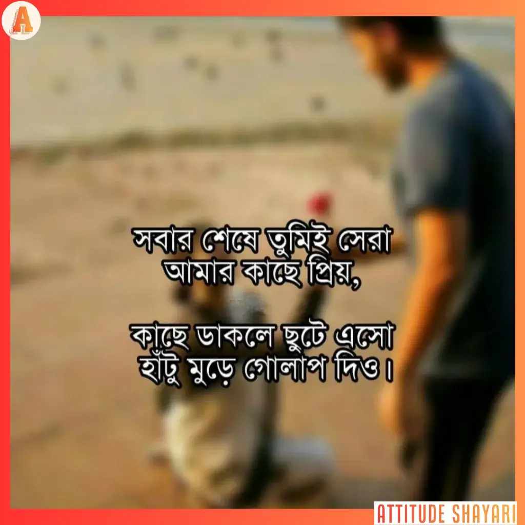 bangla shayari attitude