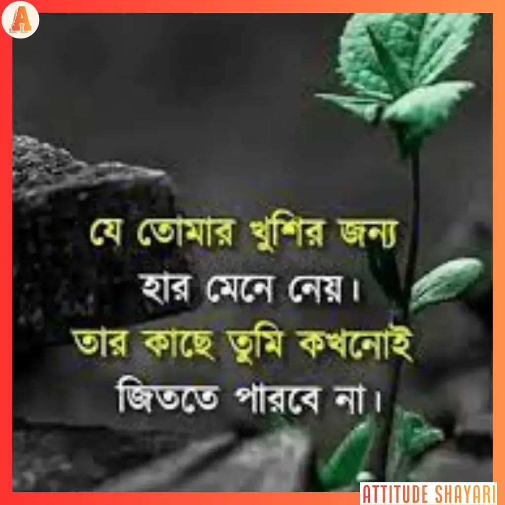 shayayri bangla