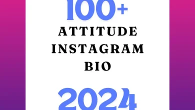 Attitude Bio for Instagram 2024