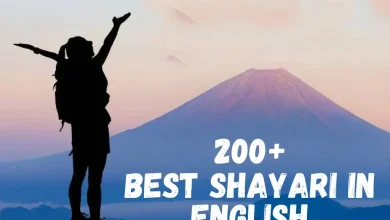 Best Shayari in English