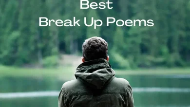 Best Break Up Poems