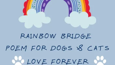 Rainbow Bridge Poem