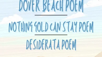 Dover Beach Poem
