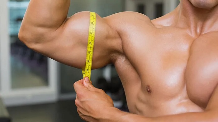 Supplementation for Muscle Building