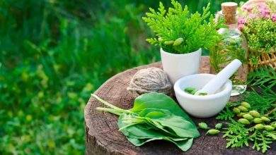 WellHealth Ayurvedic Health Tipsfdgry