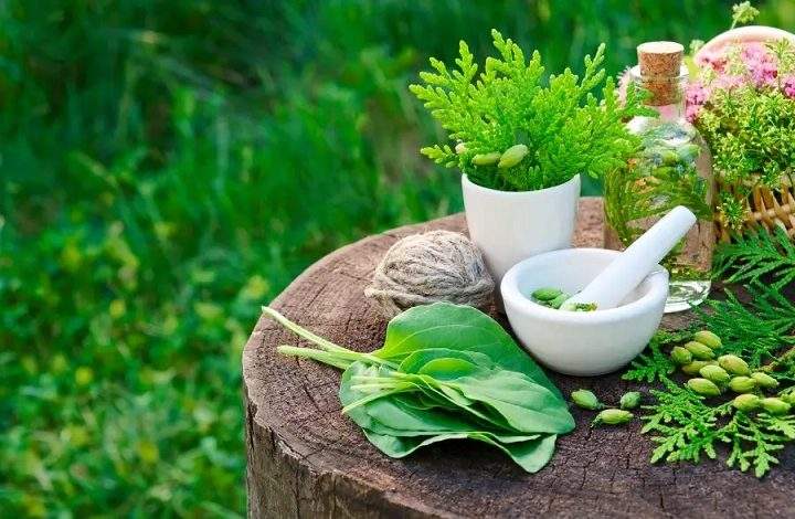 WellHealth Ayurvedic Health Tipsfdgry