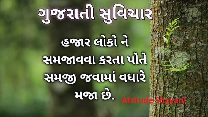 Gujarati Suvichar on Life e1731833372278