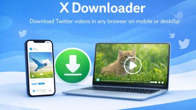 real 548e381c eb6f 402c 80eb 3902fb201f0b