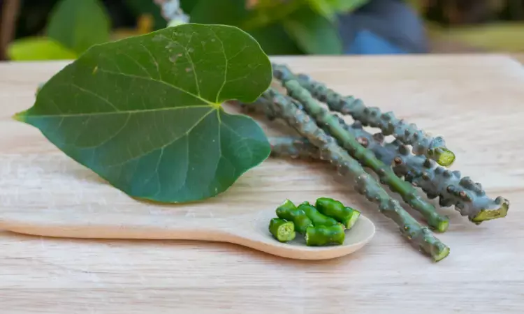 How guduchi products online Are Reviving Immunity and Gut Health Naturally